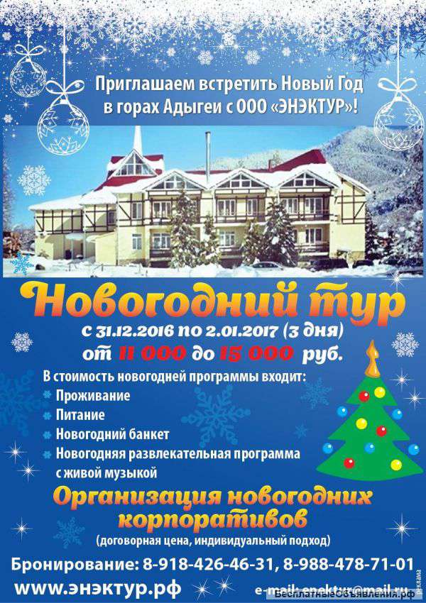 Новогодний Тур С Программой