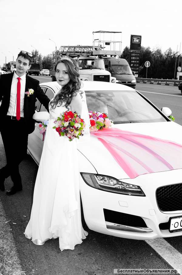Фото Свадеб Ростов На Дону